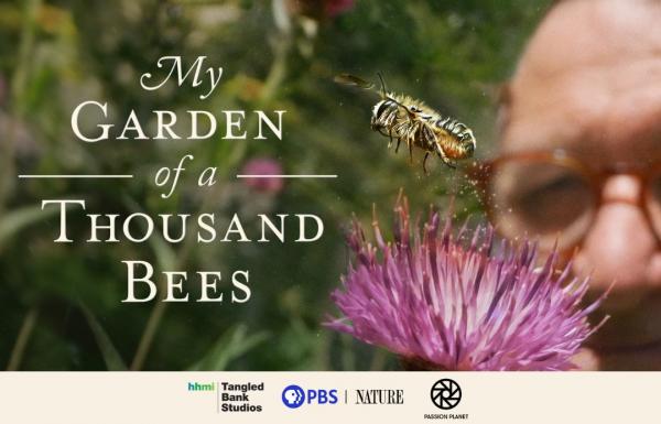My Garden of a Thousand Bees: Picture of man's face, bee, flower, documentary title