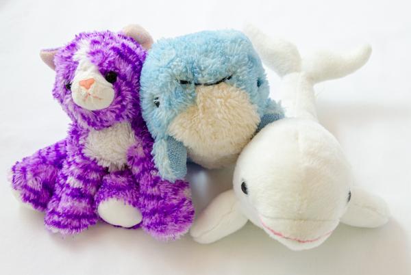 Image for event: Stuffed Animal Storytime and Open Gym