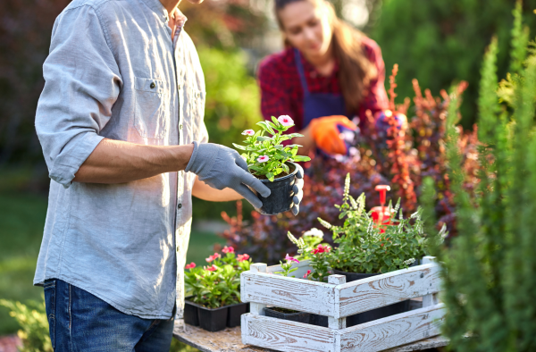 Image for event: Gardening 101
